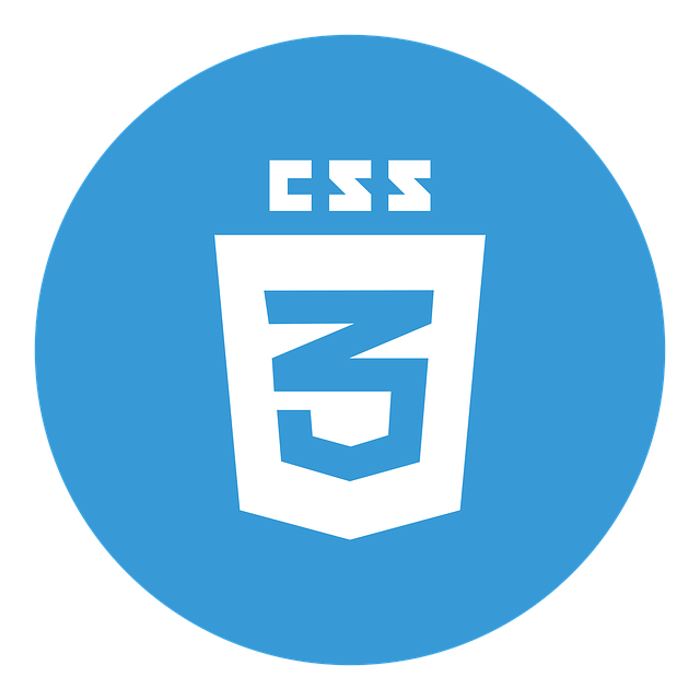 /images/css.png